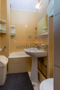 Garsoniera de inchiriat, 39m², cart. Gruia, cu garaj - foto 7