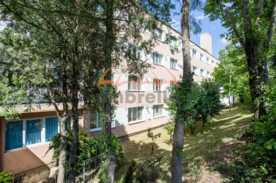 Garsoniera de inchiriat, 39m², cart. Gruia, cu garaj - foto 10