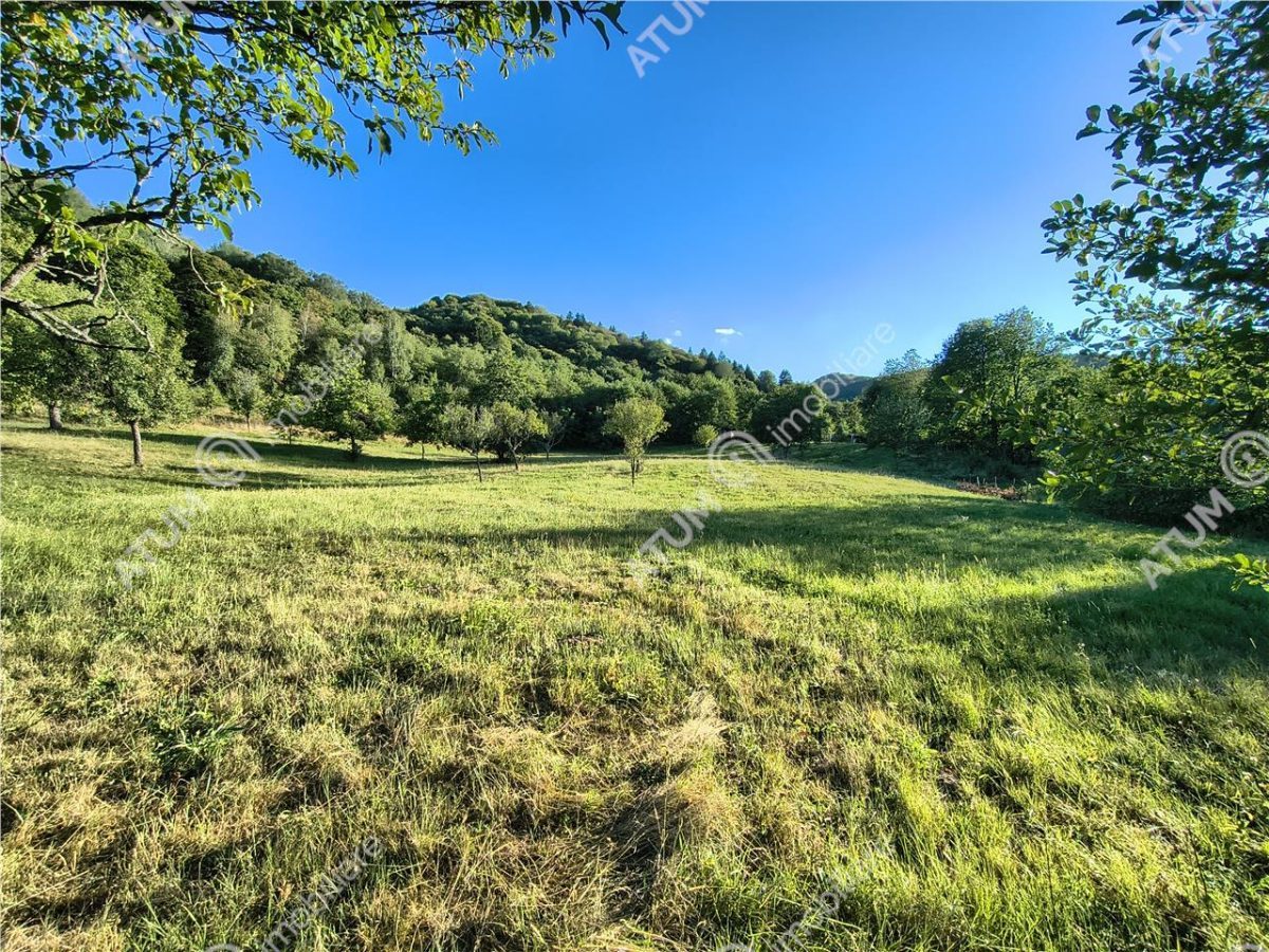 Teren extravilan 1200 mp in Sibiel langa Sibiu - ideal investitie - Sibiel