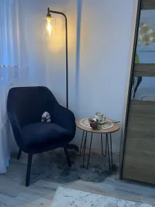 Garsonieră/Apartament o cameră de închiriat — Zona Tătărași - foto 8