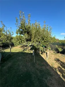 Casa I C Bratianu - foto 5