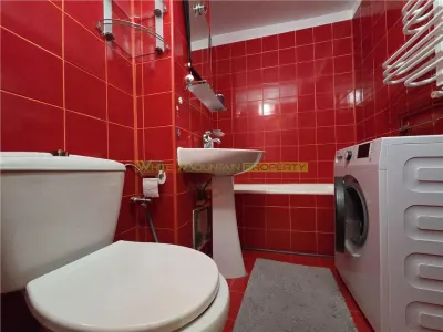 Garsoniera spatioasa de inchiriat str. De Mijloc - foto 13