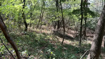 Vand teren in padure zona Hula Bradului - foto 9