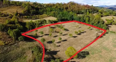 Super view | Teren 8.500 m² in Maramures | Viitorul tau colt de liniste - foto 2