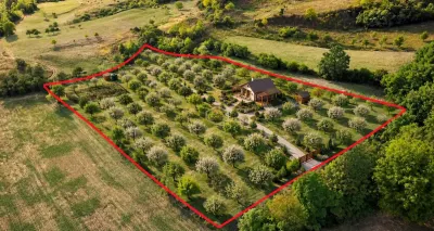 Super view | Teren 8.500 m² in Maramures | Viitorul tau colt de liniste - foto 6