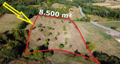Super view | Teren 8.500 m² in Maramures | Viitorul tau colt de liniste - foto 4