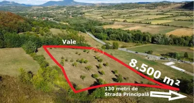 Super view | Teren 8.500 m² in Maramures | Viitorul tau colt de liniste - foto 8