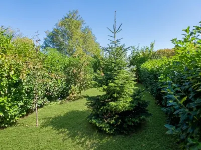 RECO Casa 4 camere, 600 mp teren, Chisirid - foto 9
