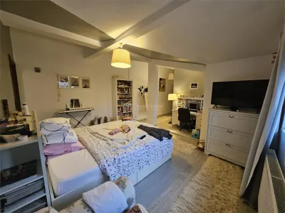 Vila Nerva Traian- Vitan Mall - foto 9