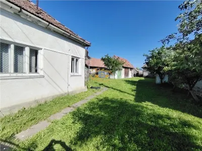 Casa de locuit (Chileni, str. Principala) - foto 12