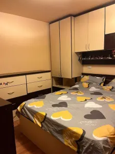 Apartament 2 camere decomandat – Podu de Fier / Eternitate - foto 4