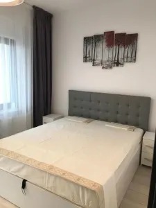 Apartament 2 camere de închiriat – Nicolina - foto 3