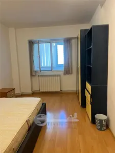 Apartament 3 camere Decomandat NICOLINA - foto 6