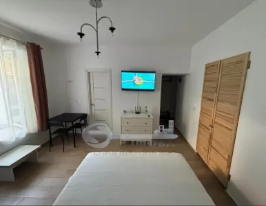 Apartament LUX 1 Cameră, Prima Închiriere – Copou-Centru, 5 Min. UMF și UAIC - foto 2