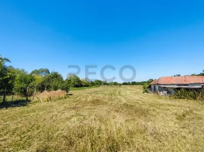 RECO Teren intravilan in Paleu 2500mp - foto 2