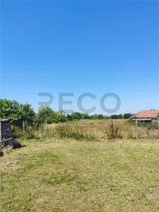 RECO Teren intravilan in Paleu 2500mp - foto 3