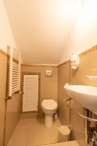 Piata Victoriei | 8 camere | Vila individuala - foto 23