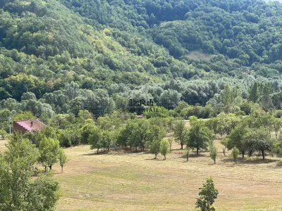 Teren+Casă Mihăileni - foto 11