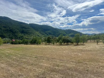 Teren+Casă Mihăileni - foto 14