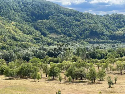Teren+Casă Mihăileni - foto 18