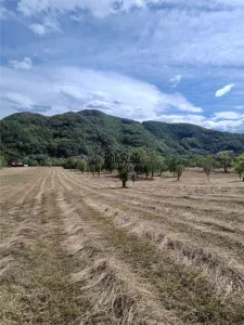 Teren+Casă Mihăileni - foto 19