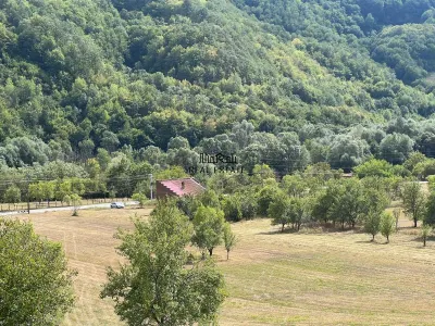 Teren+Casă Mihăileni - foto 5