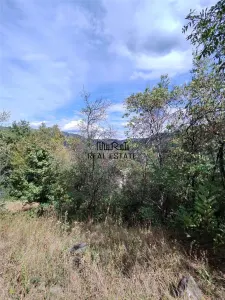 888 mp teren cu priveliste si cladiri in Mihaileni - foto 8