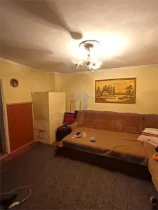 Teren 378 mp, cu casa demolabila, deschidere 8 m, Pisc - foto 2