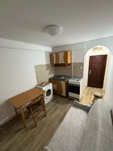 Garsonieră de închiriat – Piața Nicolina, 23 mp, centrală proprie - foto 2