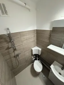 Garsonieră de închiriat – Piața Nicolina, 23 mp, centrală proprie - foto 6