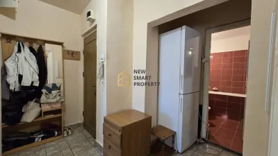 De vanzare apartament 2 camere - Nufarul, Penes Curcanul - foto 11