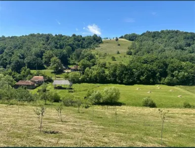RECO, teren intravilan, loc superb de cabana, Calatea-Bihor - foto 2