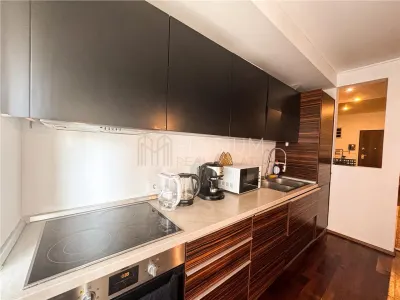 Apartament de inchiriat 3 camere Herastrau - foto 9