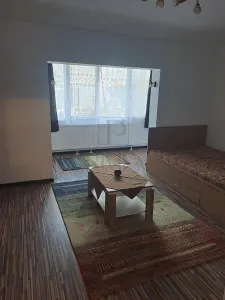 FREIDORF - AP. 1 CAMERA - mobilat, utilat, centrala proprie - Timisoara