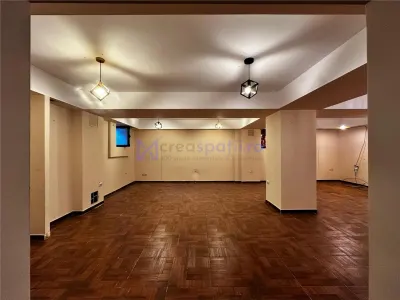 Spatii comerciale de la 38mp la 550mp, centru, Piata Unirii, Iasi - foto 9