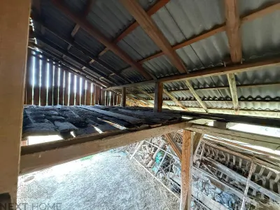 Teren 2,9 hectare cu casa, livezi si anexe de vanzare in Paltin, Vrancea - foto 12