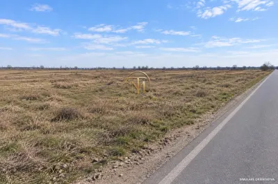 Activ investitional | Teren intravilan 30.000 mp | PUZ | Centura Pantelimon - foto 2
