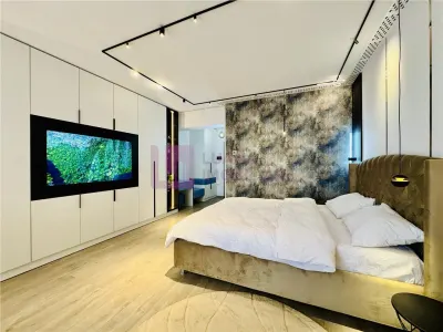 Studio de lux de inchiriat | Evo Doamna Stanca | video - foto 4