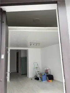 Casa si spatiu comercial zona Vasile Lascar - foto 2