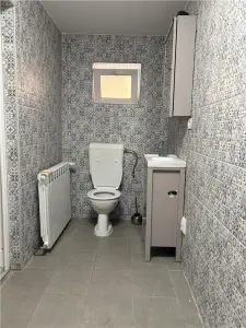Casa si spatiu comercial zona Vasile Lascar - foto 13