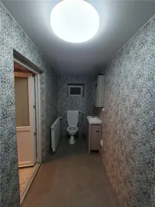 Casa si spatiu comercial zona Vasile Lascar - foto 10