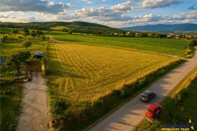 3.800mp recomandat: investitie,rezidenta vacanta,domeniu privat,Valea Crisului - foto 2