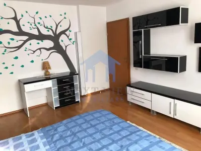 Apartament 1 camera, Gruia - foto 7