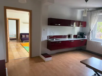 Apartament 3 camere | 67 mp | Complex Studențesc | Vedere Parcul Copiilor & Bega | Aproape de UVT și Medicină - foto 2