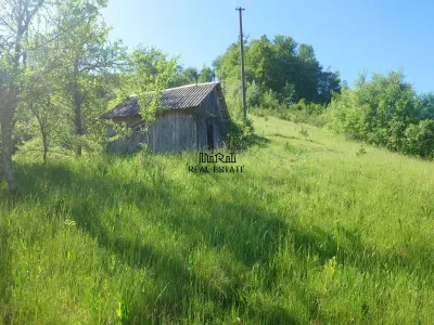 1,3 haTeren si cladiri in Blajeni - foto 13