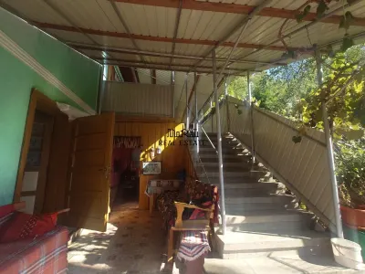 Casa si Teren Criscior - foto 13