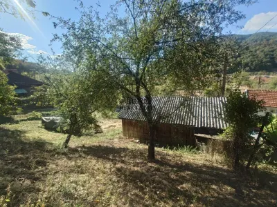 Casa si Teren Criscior - foto 16