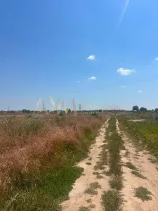 Vanzare teren Chisoda granita cu Giroc - foto 2