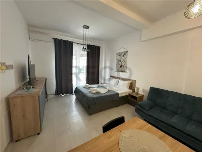 RECO Apartament 1 camera, zona Baile Felix, balcon generos, mobilat - foto 3