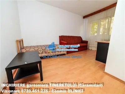 Inchiriere garsoniera TINERETULUI (Caramidari) - foto 10